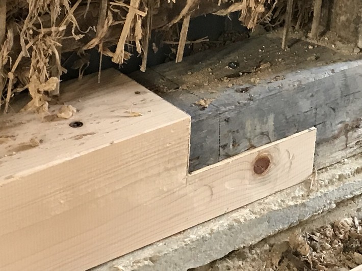 20201007_saisei (2).JPG