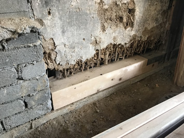 20201007_saisei (6).JPG