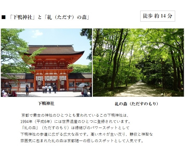 shimogamo 20210204-04.jpg