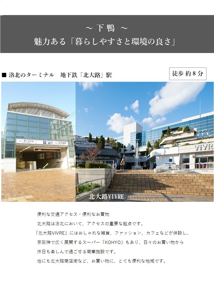 shimogamo 20210204-06.jpg